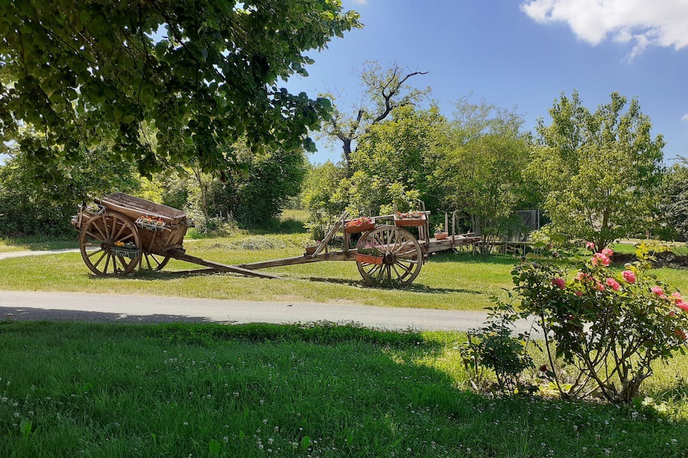 Photo of Outdoor in Salles-la-Source