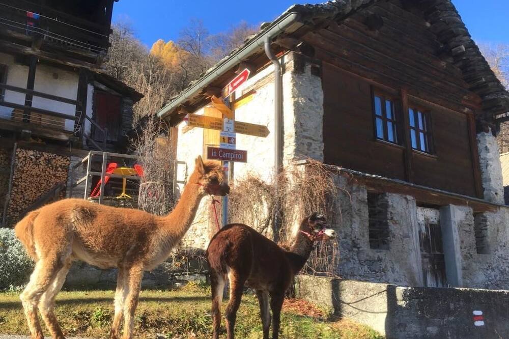 Photo of Outdoor in Acquarossa