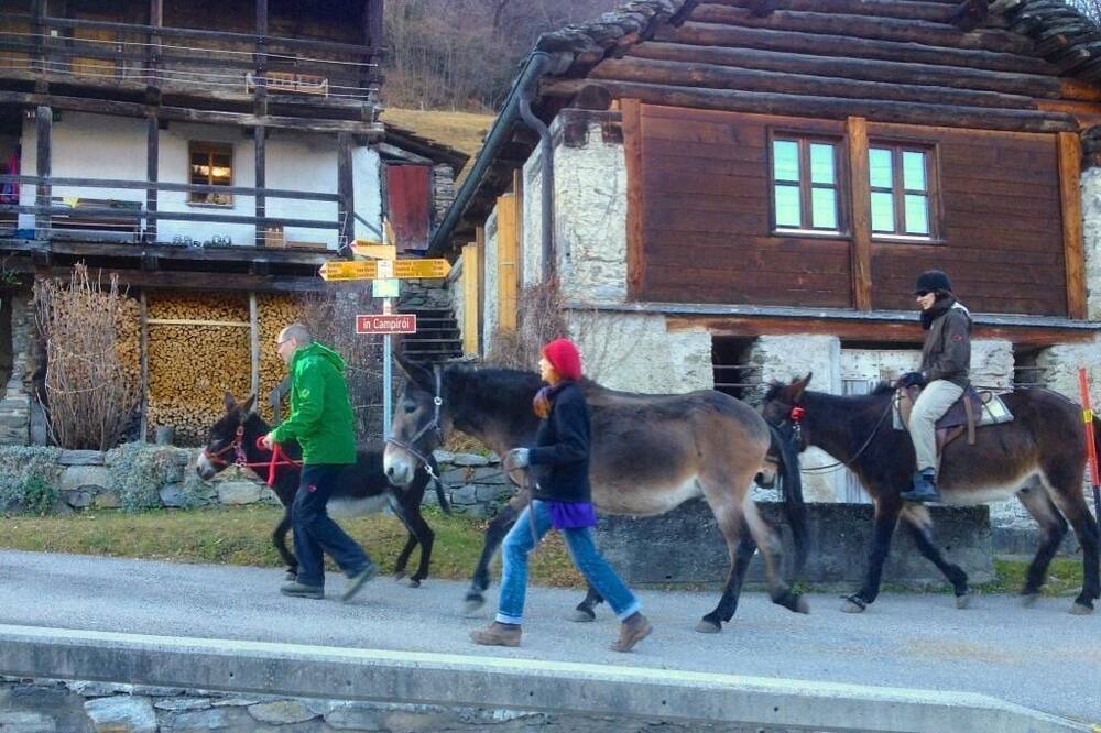 Photo of Others in Acquarossa