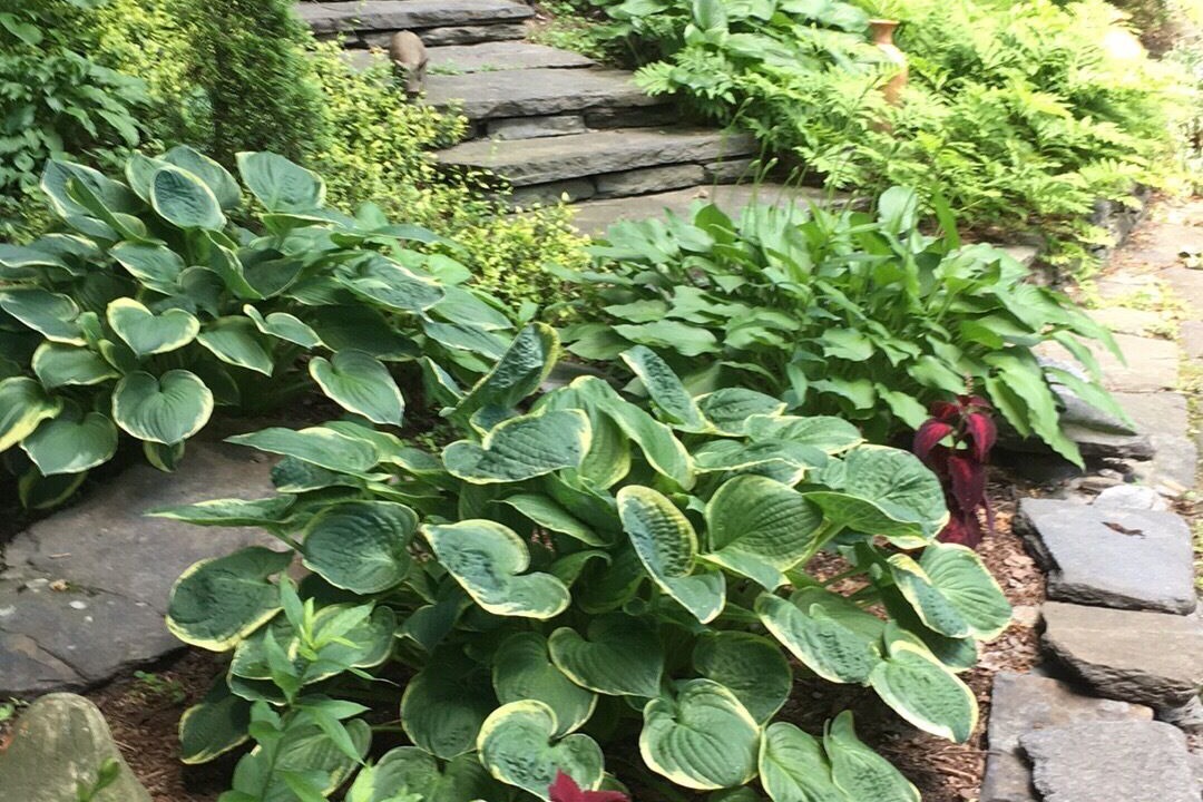 Photo of Outdoor in Brattleboro