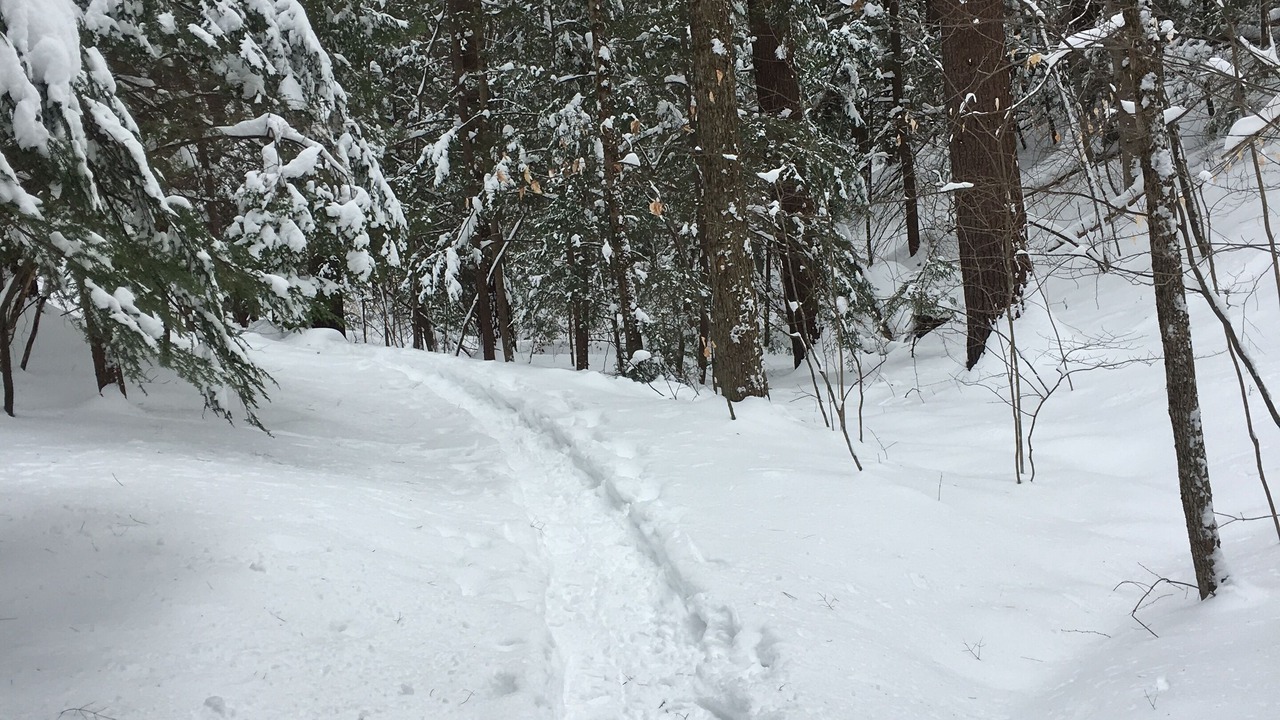 Photo of Others in Brattleboro