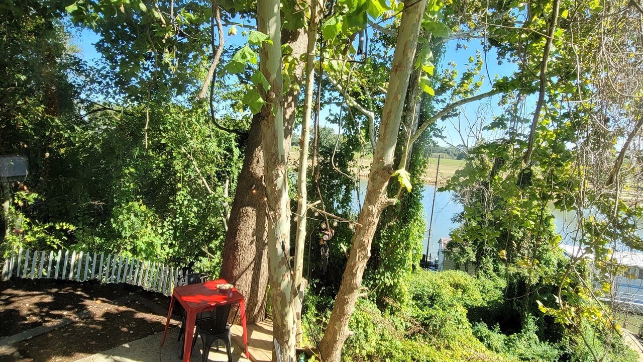 Photo of Outdoor in West Monroe