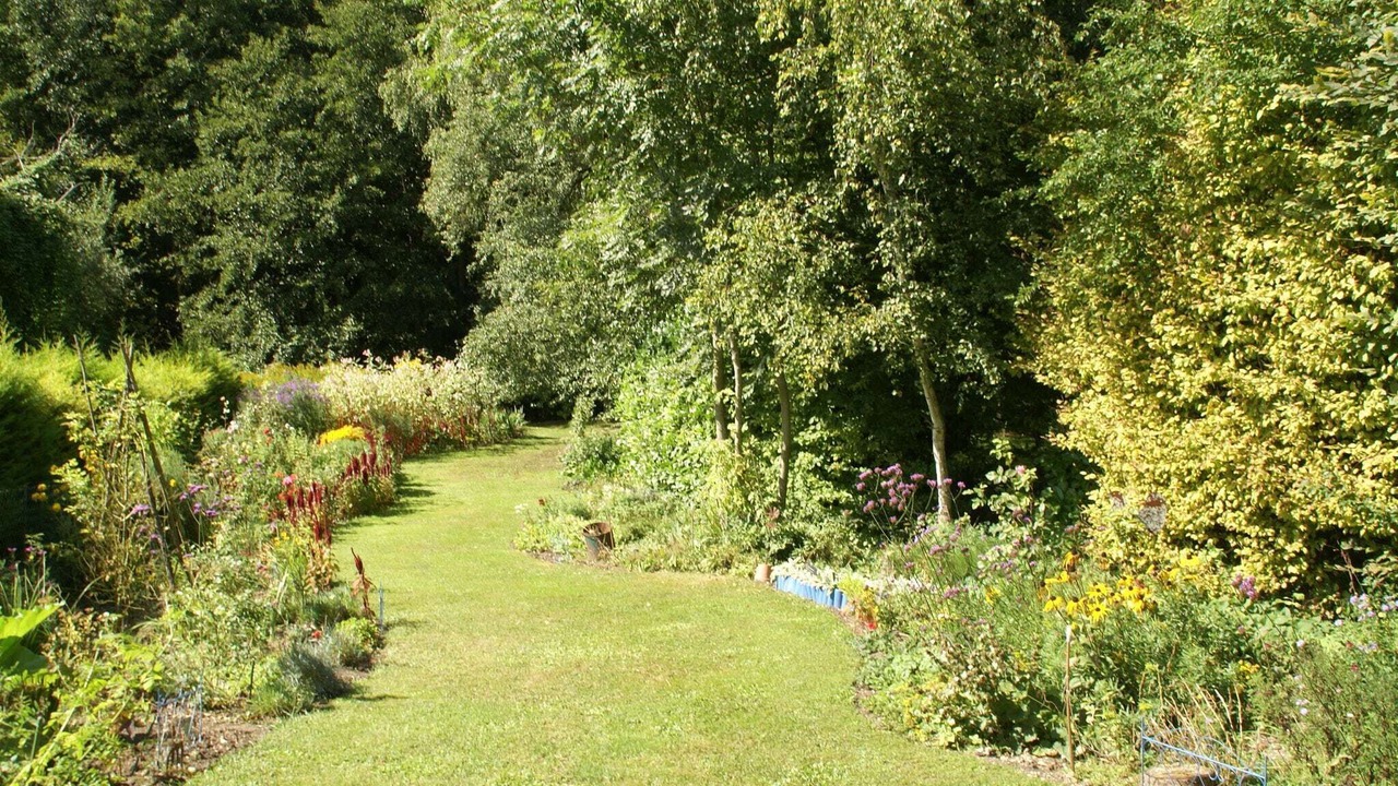 Photo of Others in Mezy-Moulins