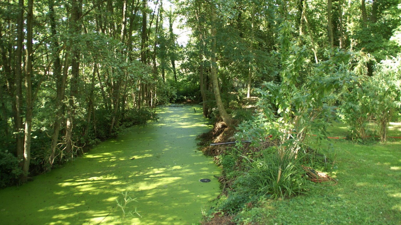 Photo of Outdoor in Mezy-Moulins