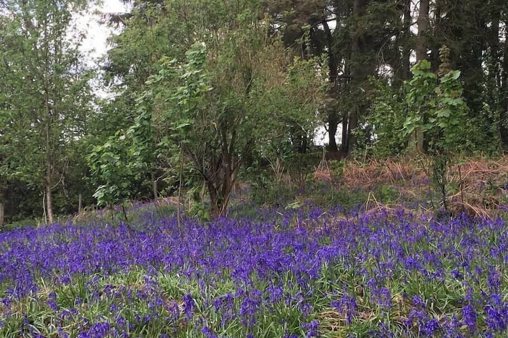 Photo of Outdoor in Loughborough