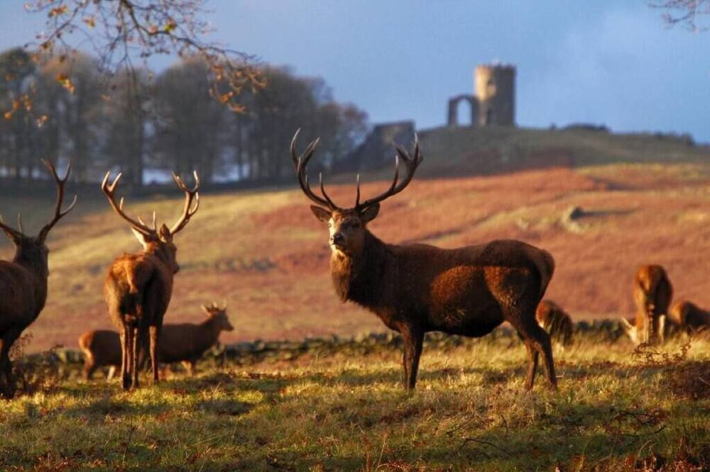 Photo of Outdoor in Loughborough