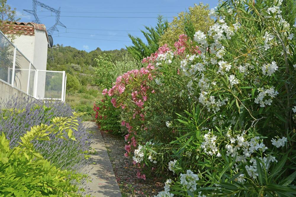 Photo of Outdoor in Oupia