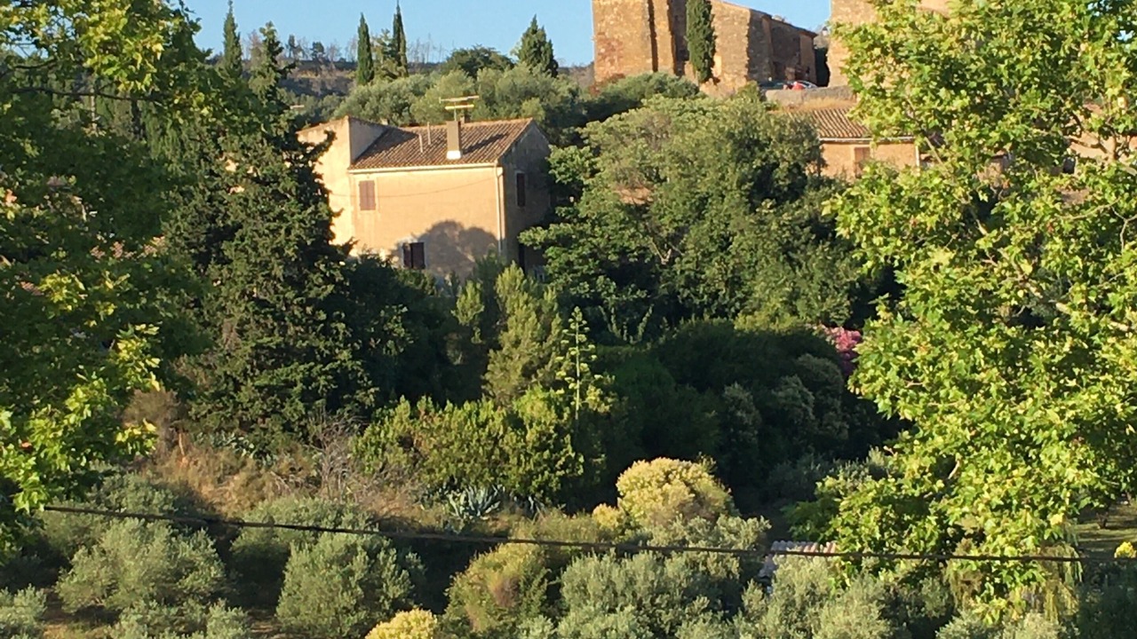 Photo of Outdoor in Montouliers