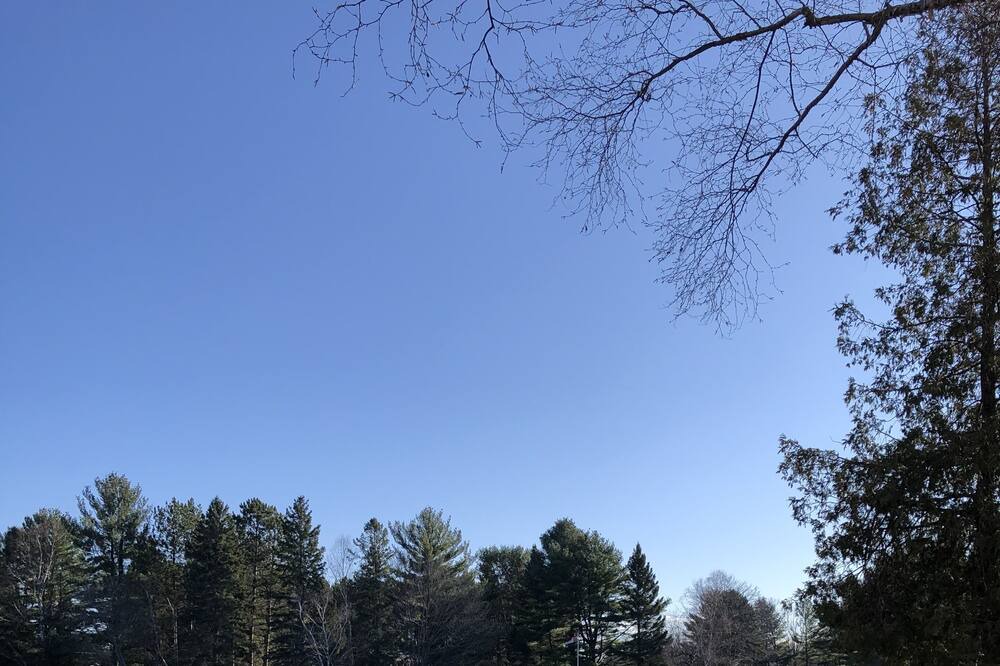 Photo of Outdoor in Kirkfield