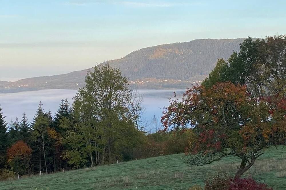 Photo of Outdoor in Bertrimoutier