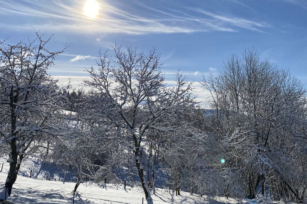 Photo of Outdoor in Bertrimoutier