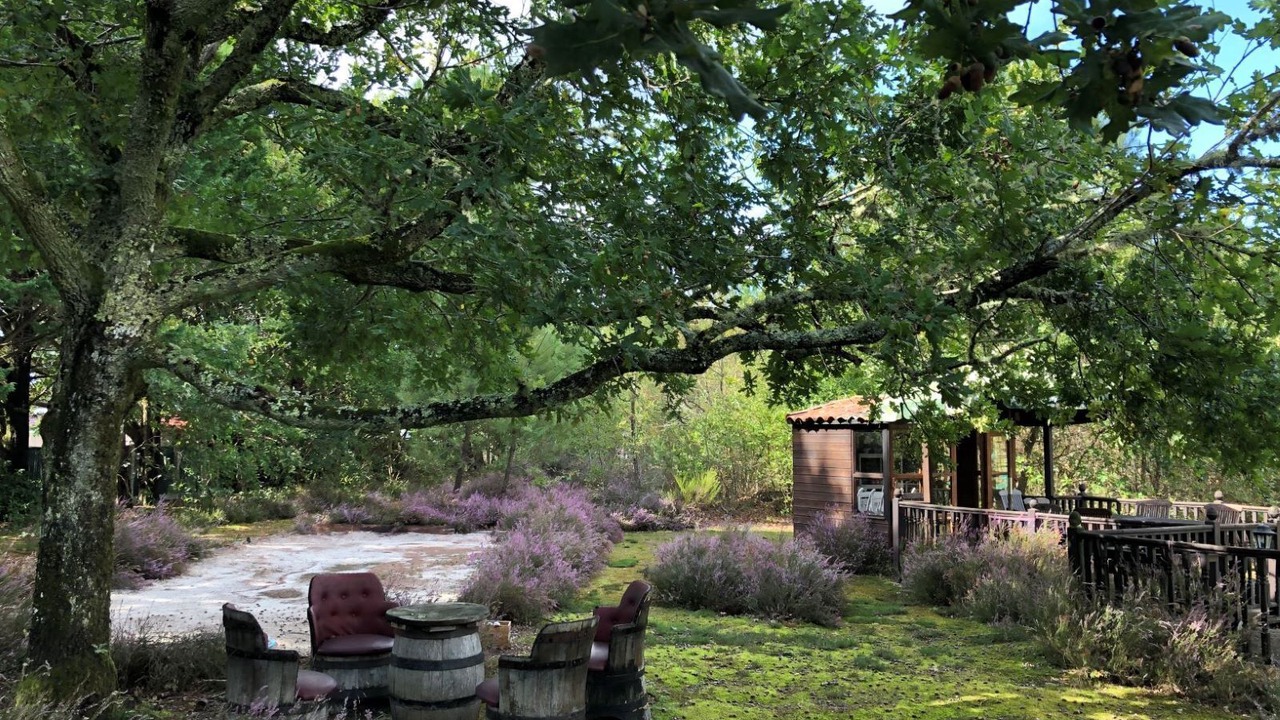 Photo of Outdoor in Commensacq