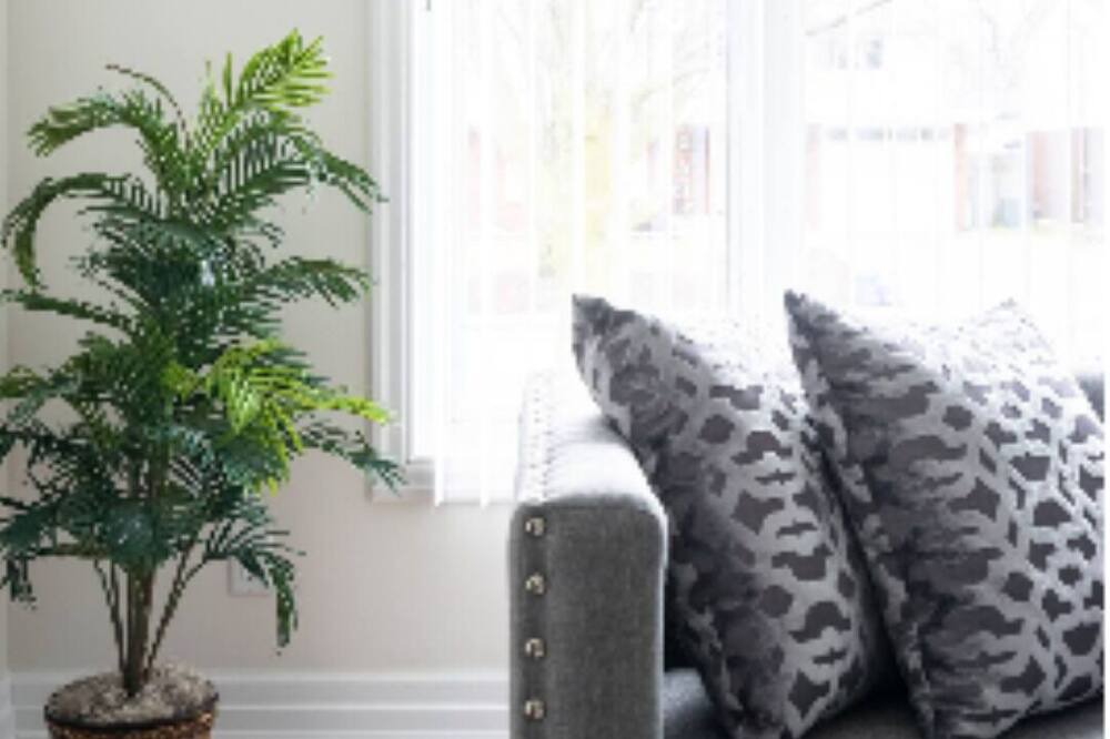 Photo of Livingroom in Hamilton