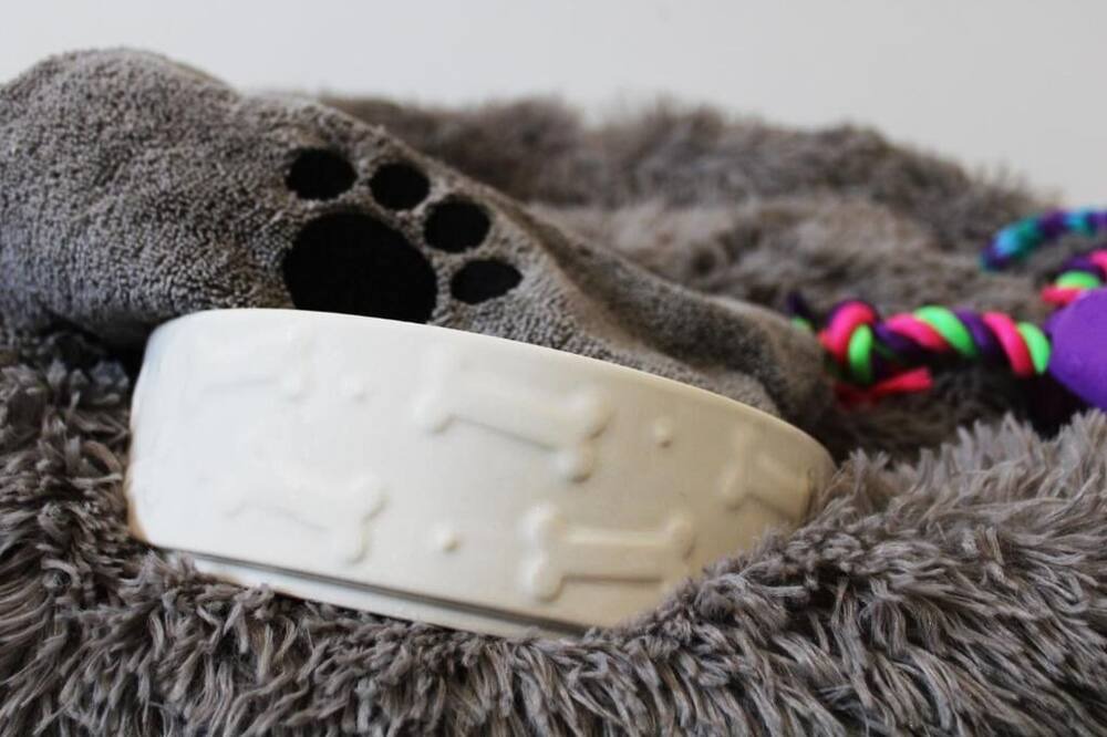 Photo of Others in Abingdon