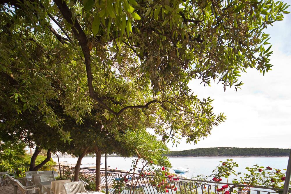 Photo of Patio Balcony in Rab
