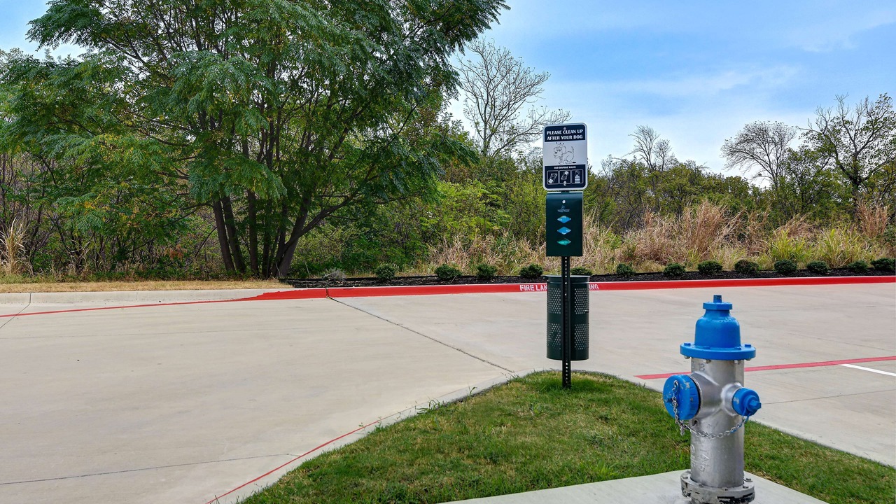 Photo of Outdoor in Plano