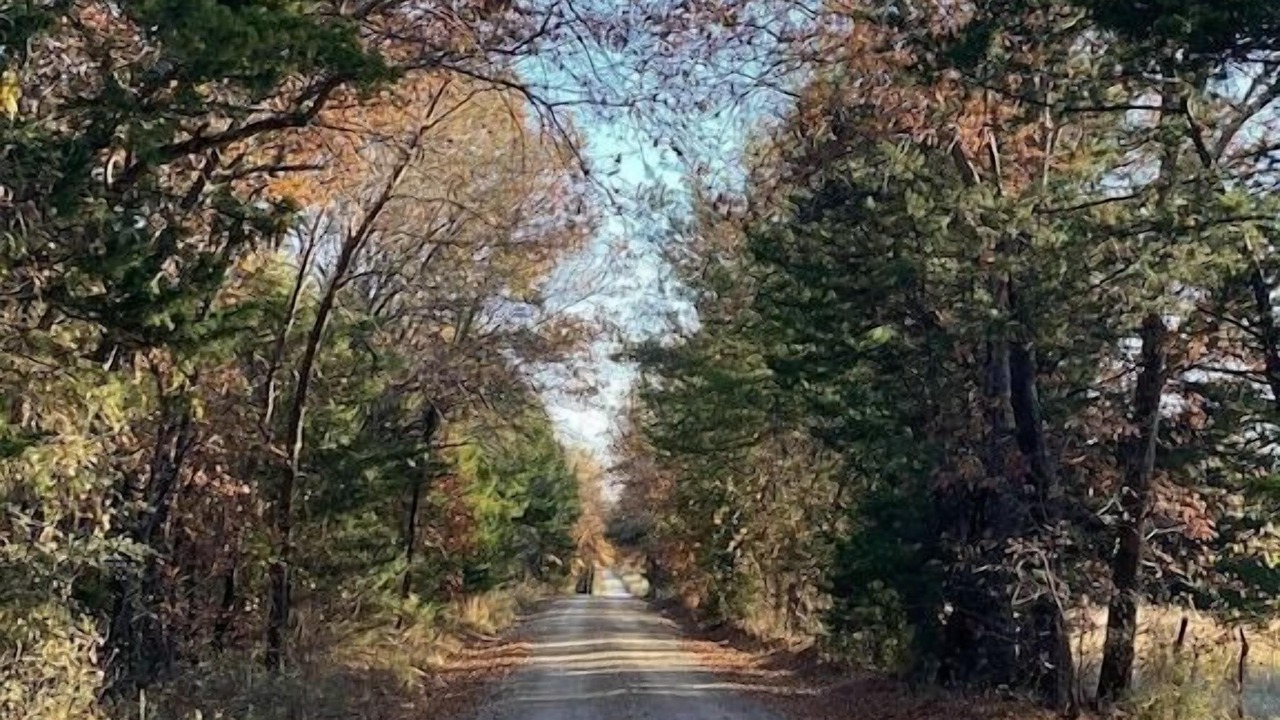 Photo of Outdoor in Durant