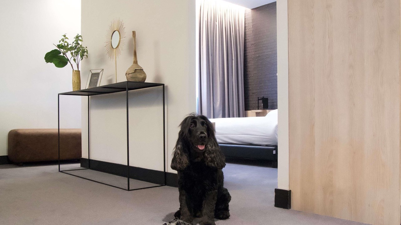 Photo of Others in Arras