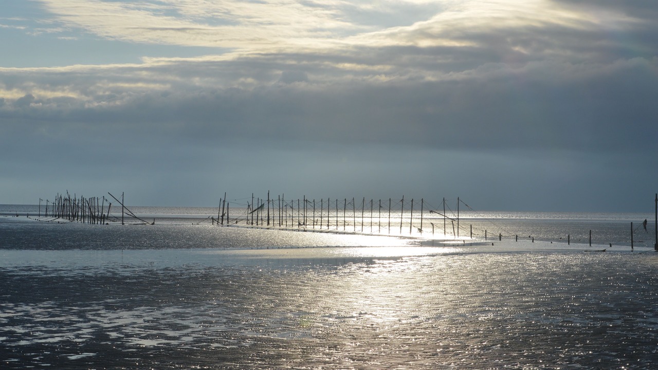 Photo of Others in Rockcliffe