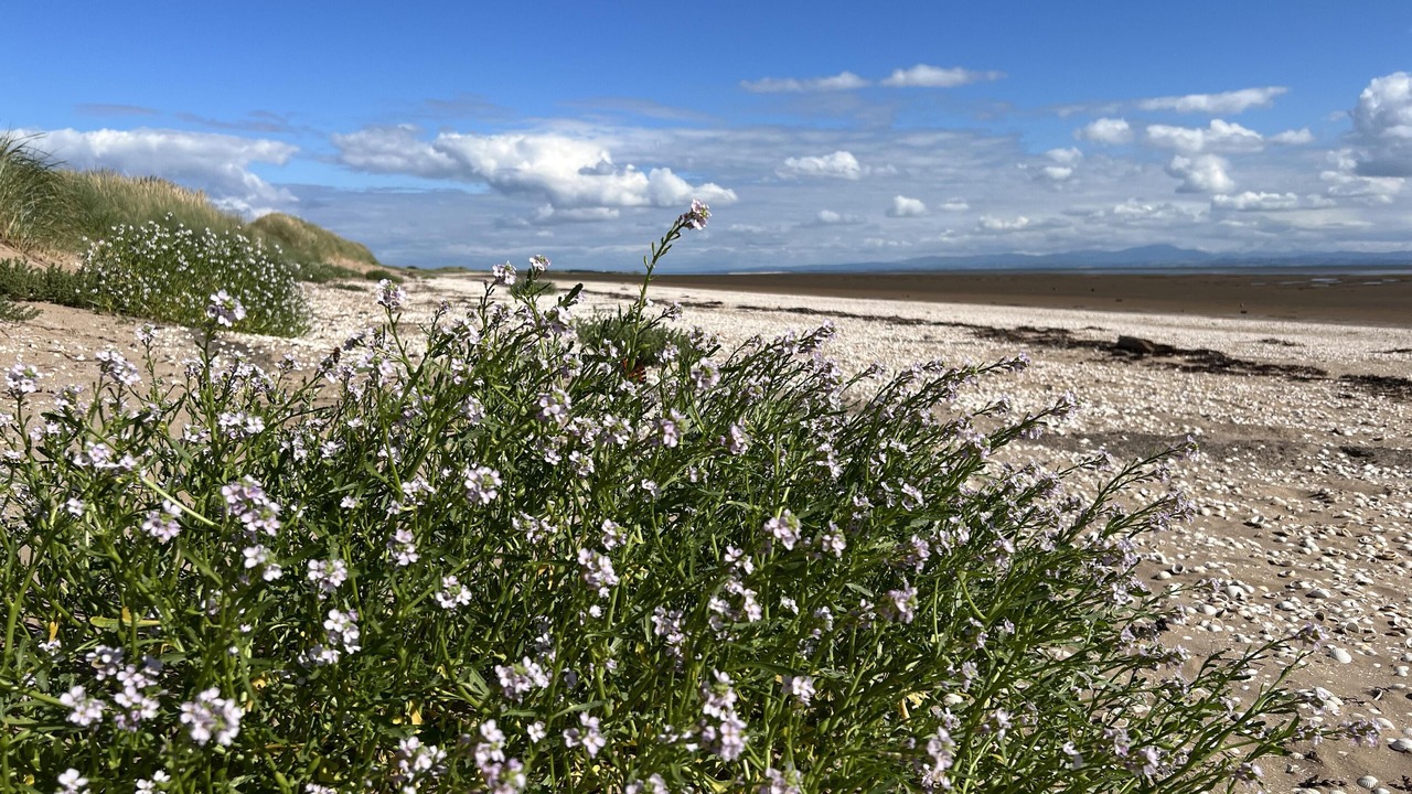 Photo of Others in Rockcliffe
