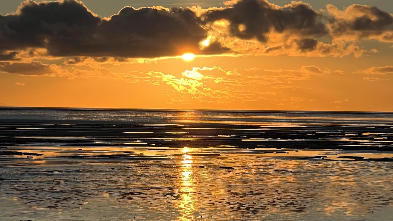 Photo of Others in Rockcliffe