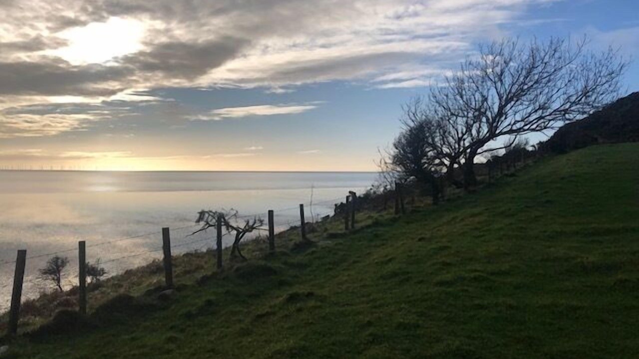 Photo of Others in Rockcliffe