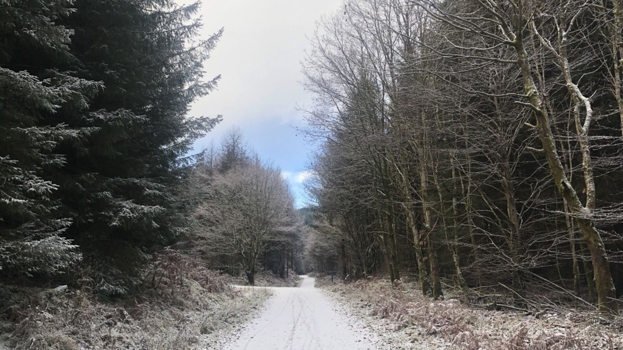 Photo of Others in Rockcliffe