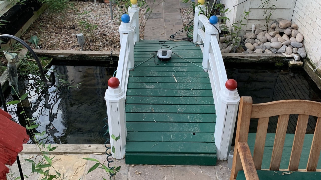 Photo of Outdoor in Osceola