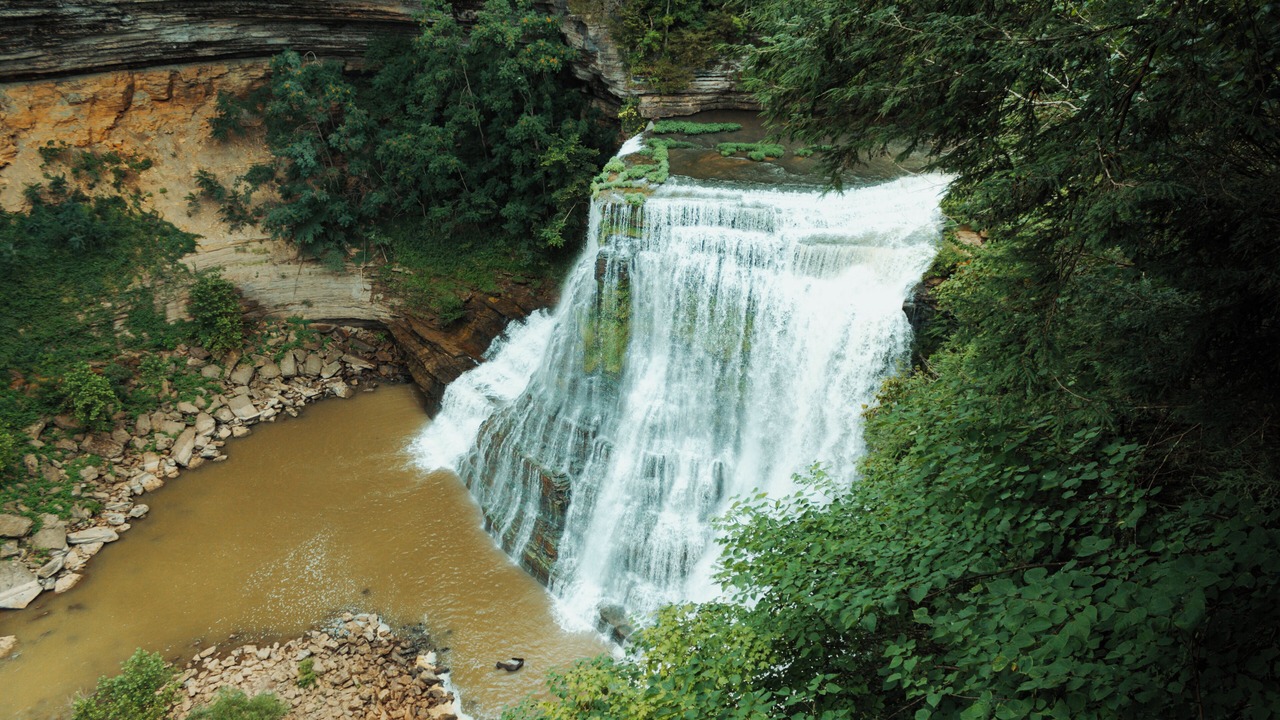 Photo of Others in Cookeville