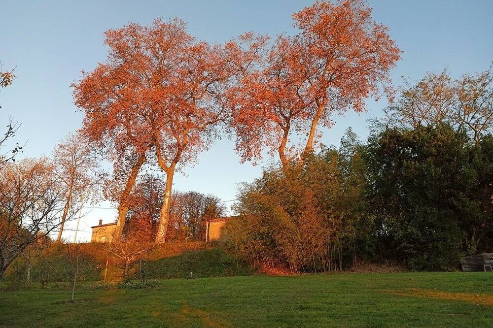 Photo of Outdoor in Lectoure