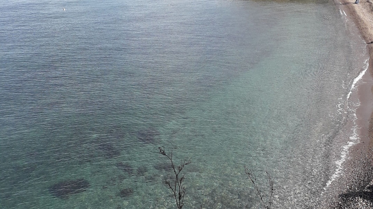 Photo of Others in Sainte-Marie-Plage