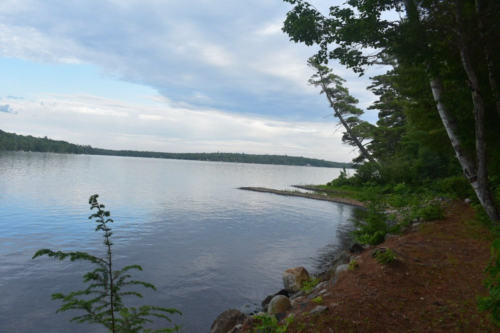 Photo of Others in Embden