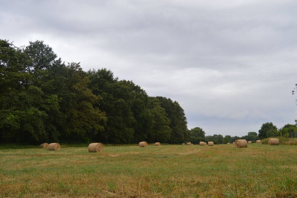 Photo of Outdoor in Vendœuvres