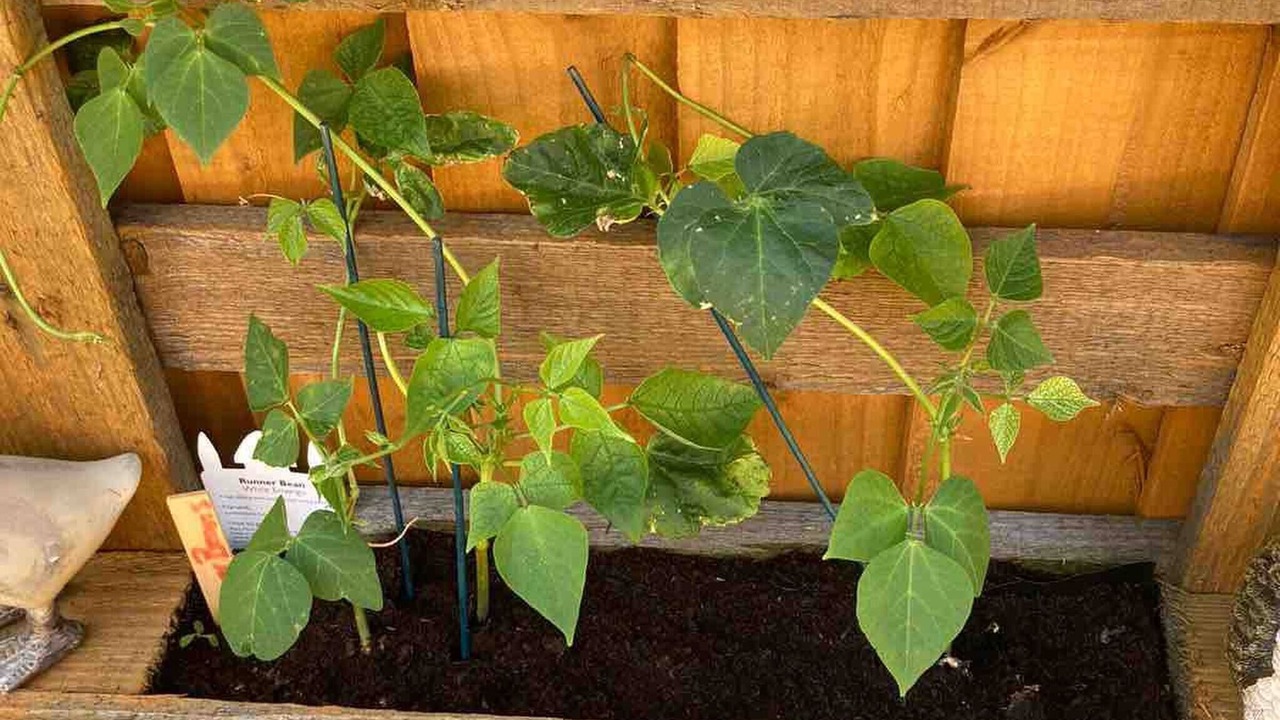 Photo of Others in Dadlington