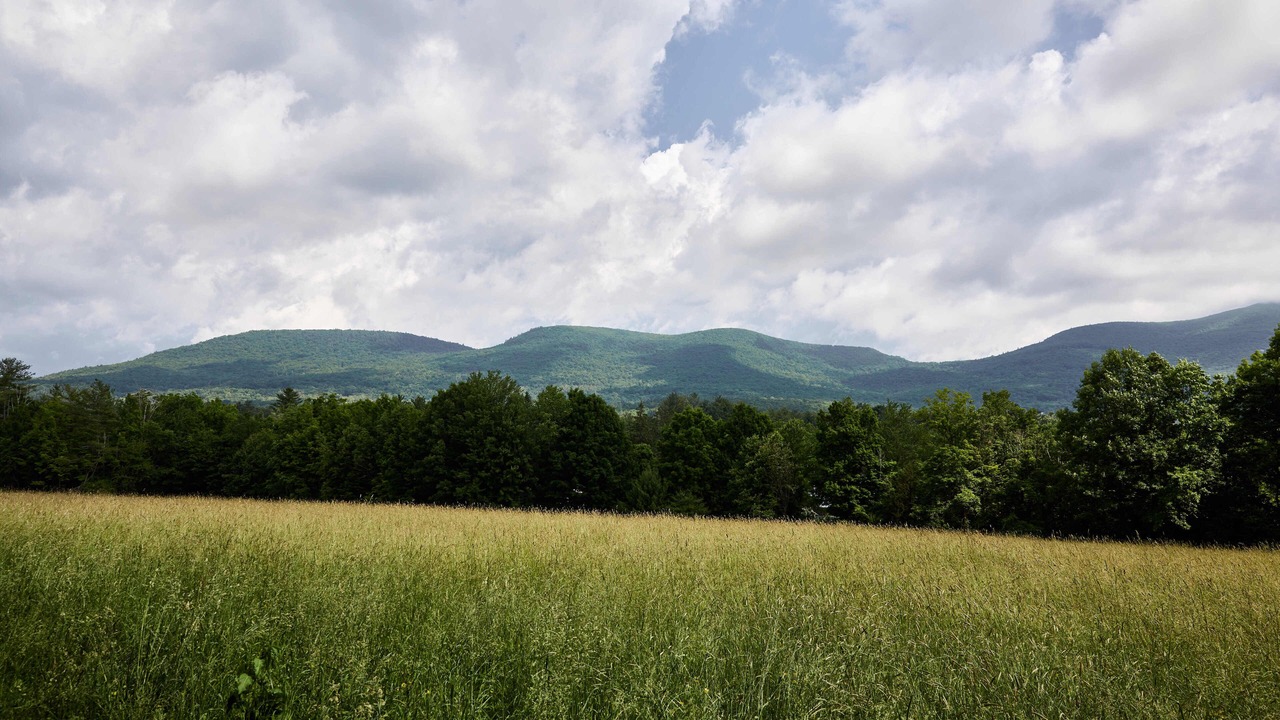 Photo of Outdoor in Hunter