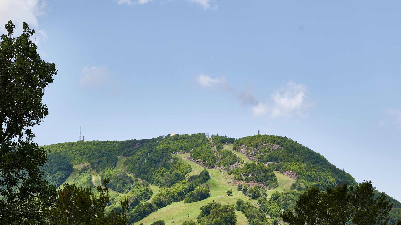 Photo of Outdoor in Hunter
