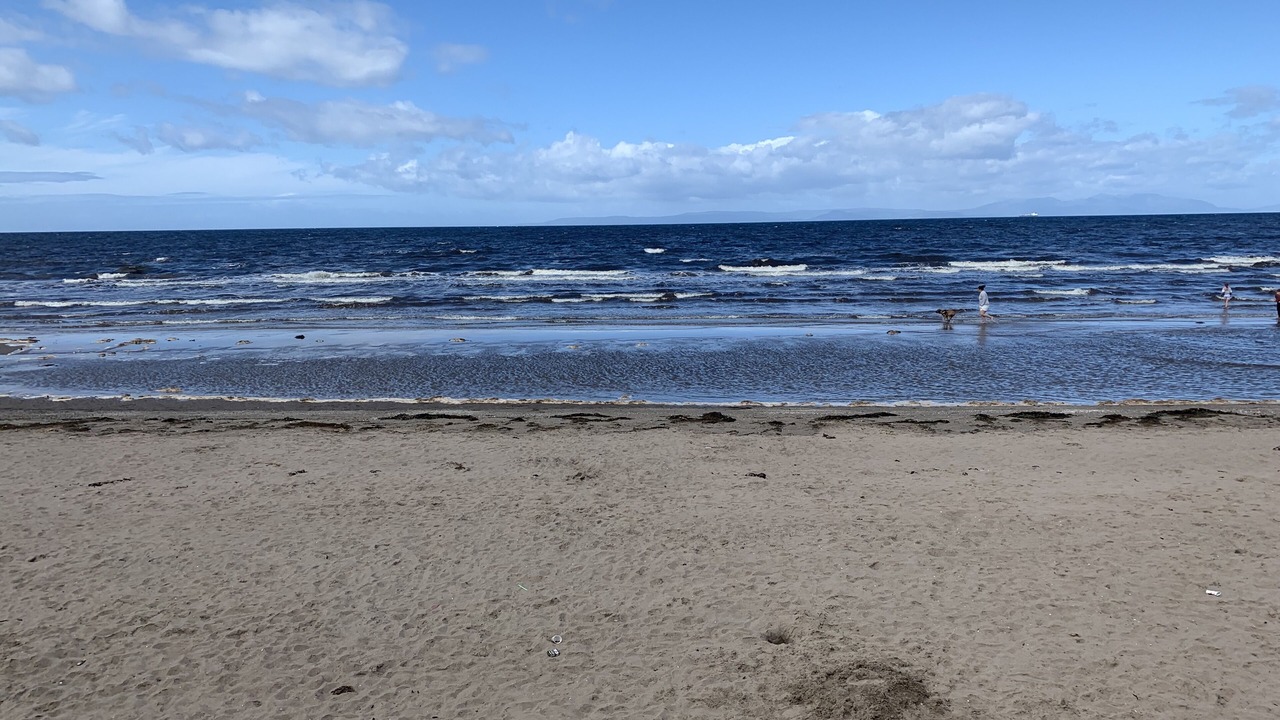 Photo of Others in Ayr