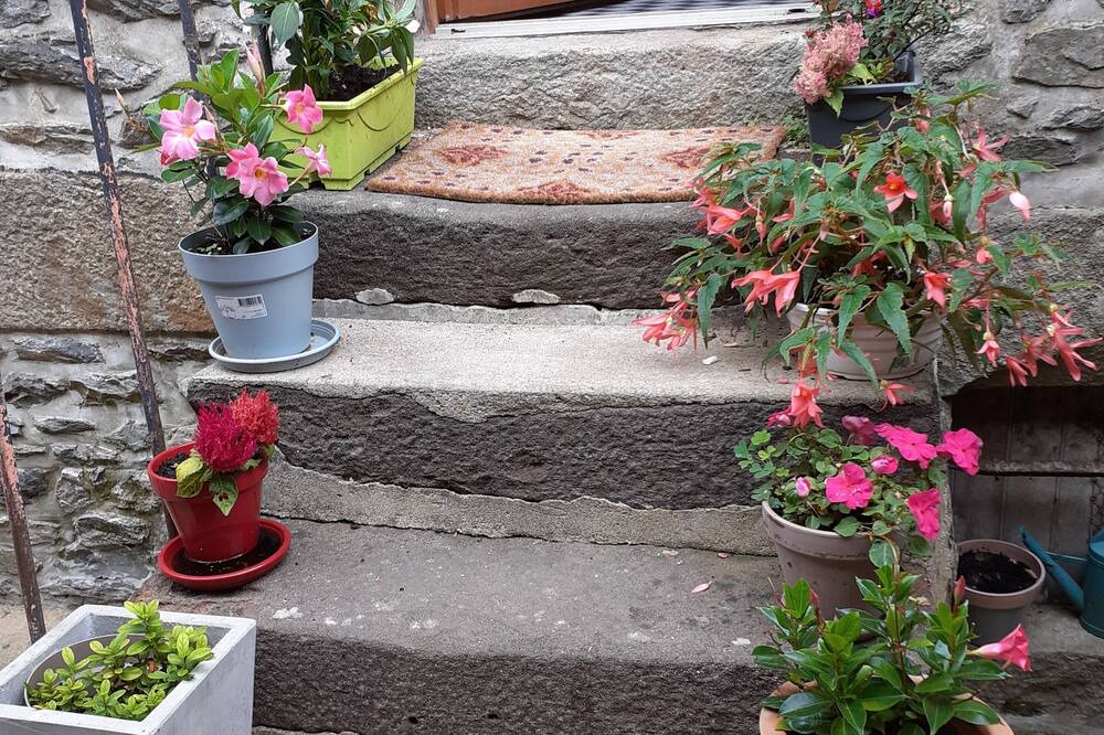 Photo of Outdoor in Fresnay-sur-Sarthe