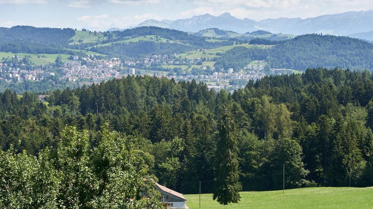 Photo of Others in Gaiserwald
