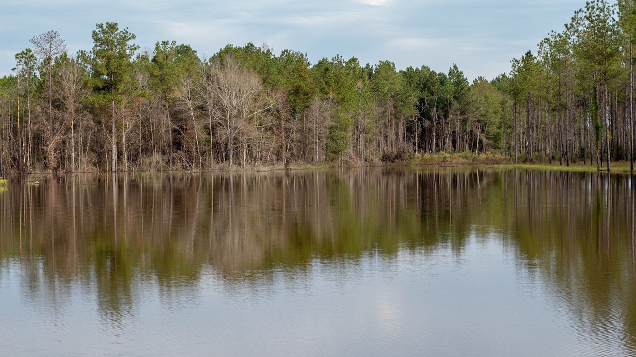 Photo of Outdoor in Kountze