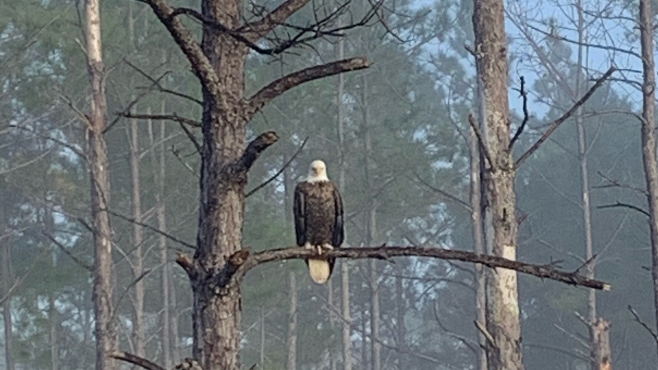 Photo of Others in Kountze