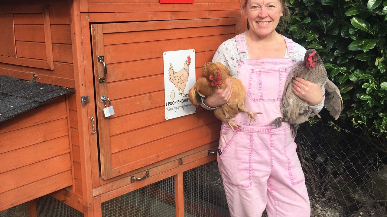 Photo of Outdoor in Lakewood