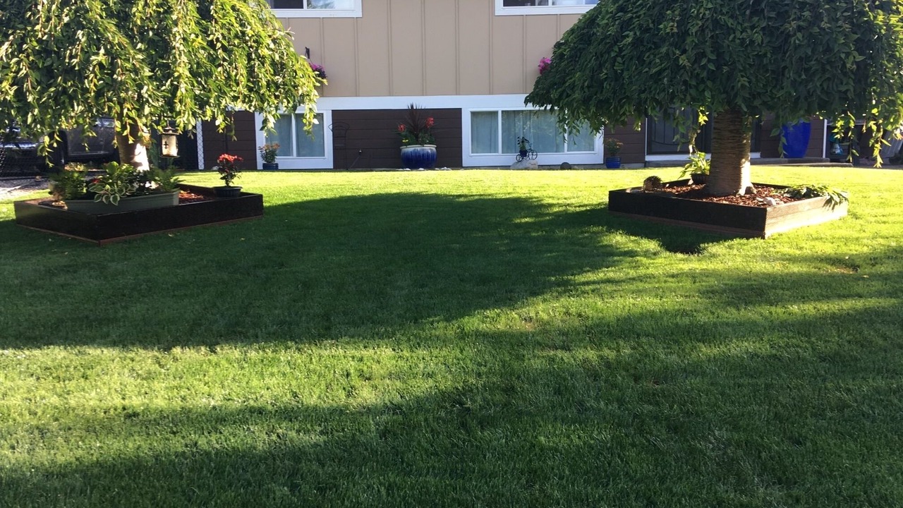 Photo of Outdoor in Lakewood