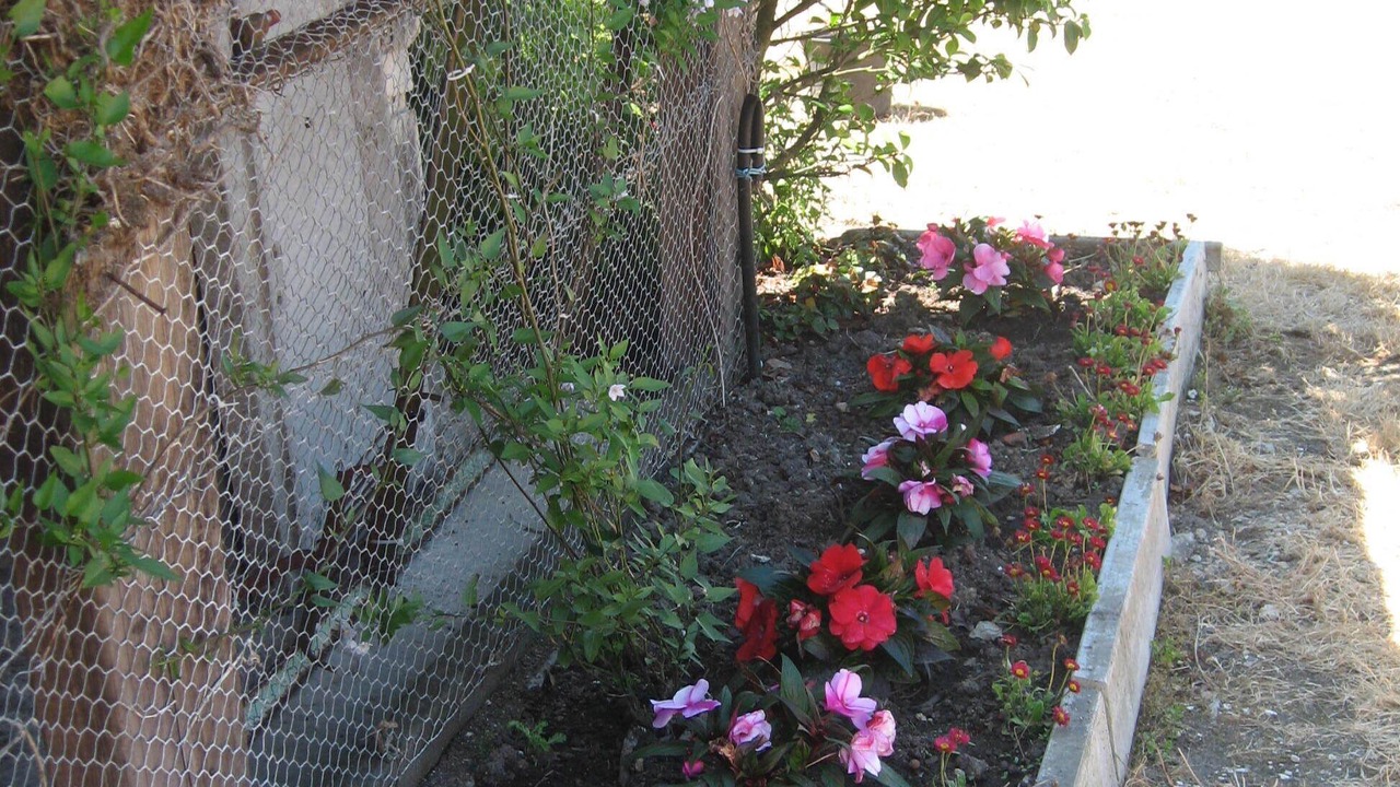 Photo of Others in Marennes