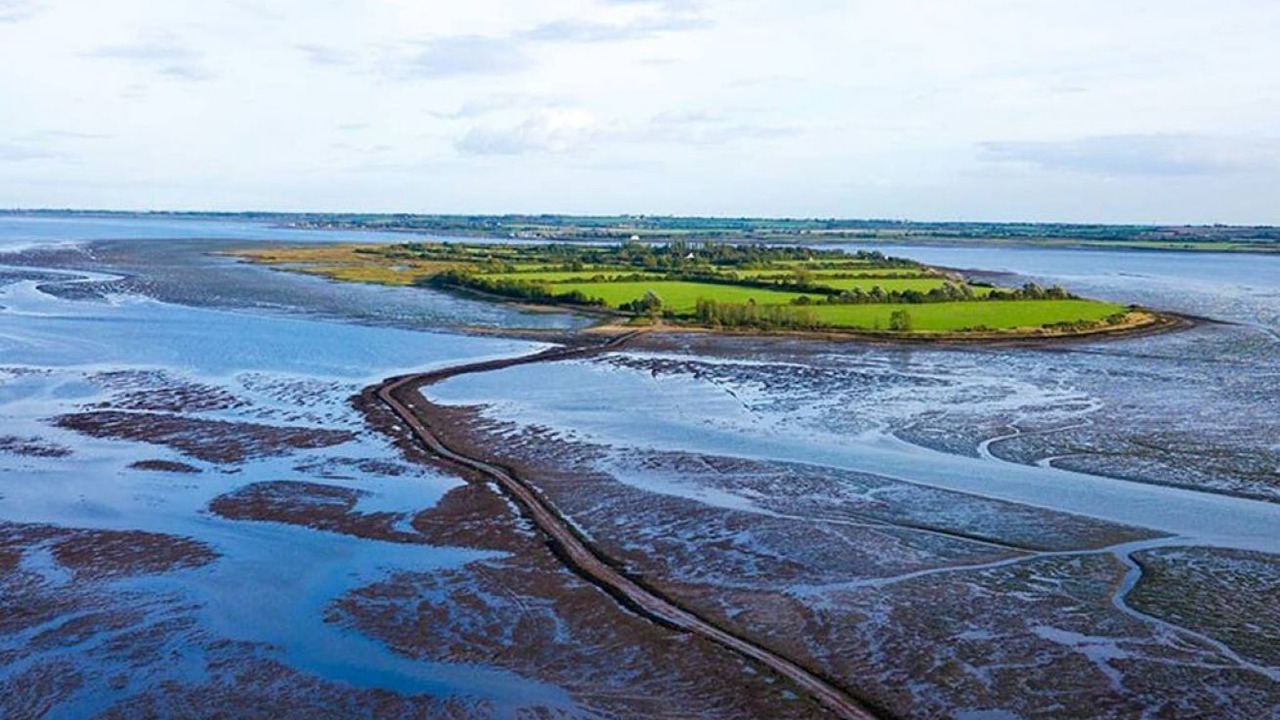 Photo of Others in Maldon