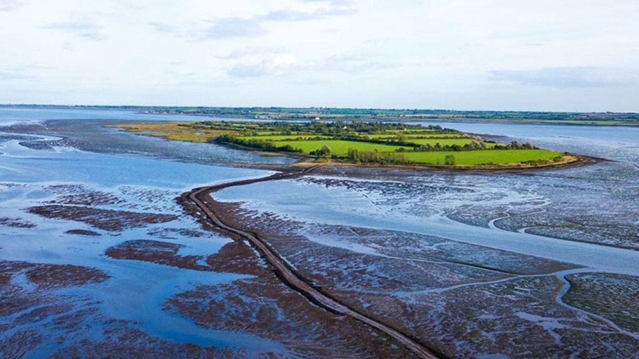 Photo of Others in Maldon