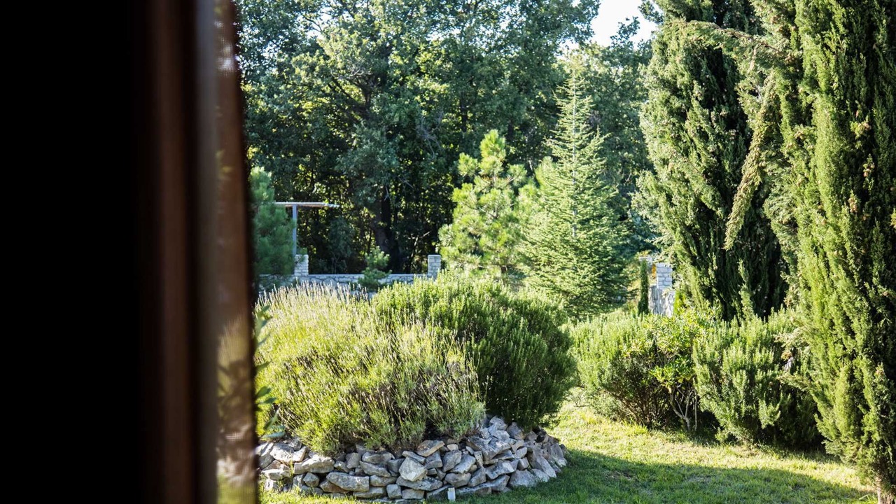 Photo of Outdoor in Rogocana