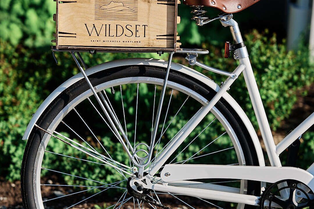 Photo of Outdoor in St. Michaels