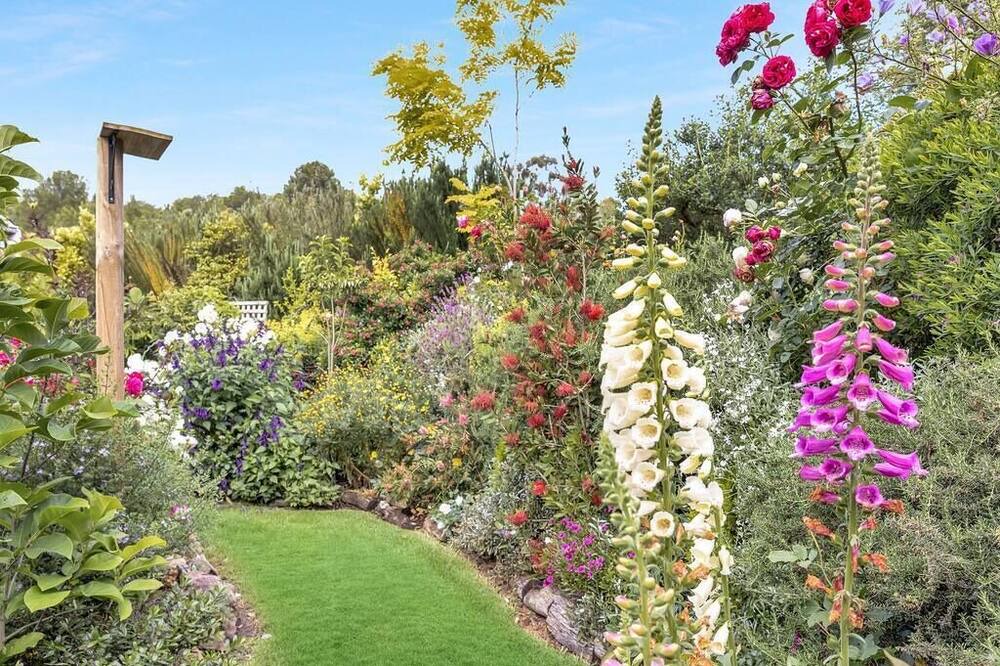 Photo of Outdoor in Central Mudgee