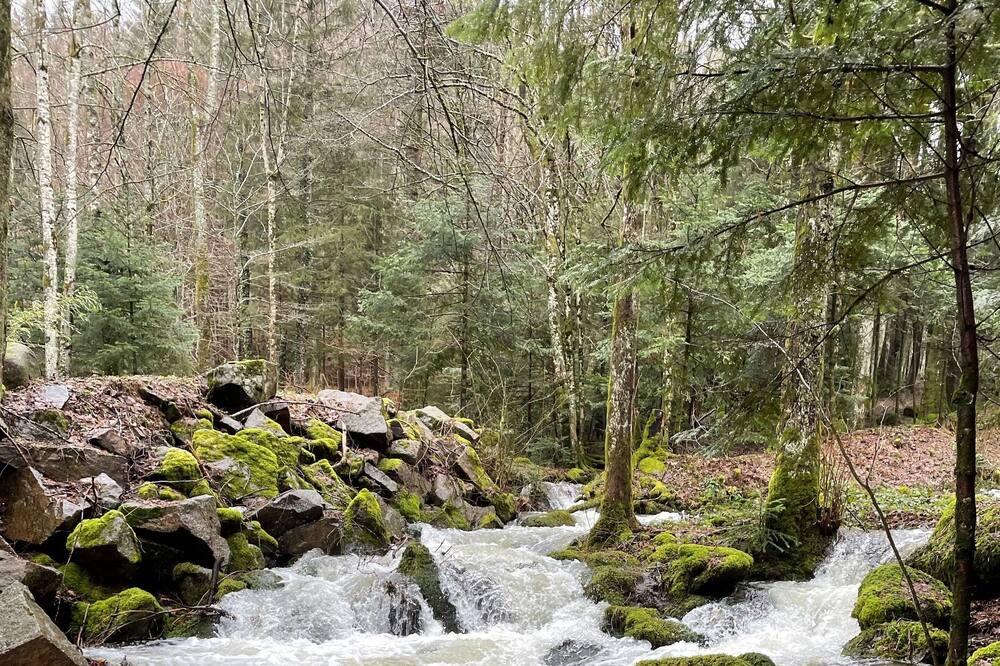 Photo of Outdoor in Basse-sur-le-Rupt